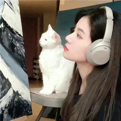 宏观世界